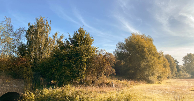 herfstfoto