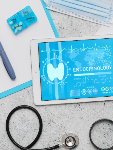 afbeelding endocrinologie